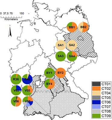 Terpene Synthase Genes in Quercus robur – Gene Characterization, Expression and Resulting Terpenes Due to Cockchafer Feeding